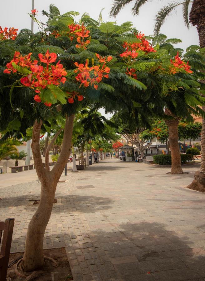 Apartment El Carmen